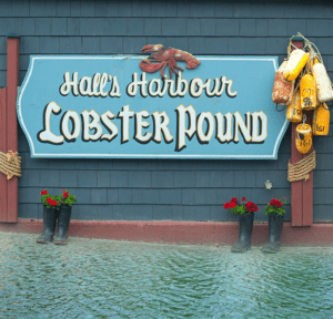 Go on an Adventure in the kayaks