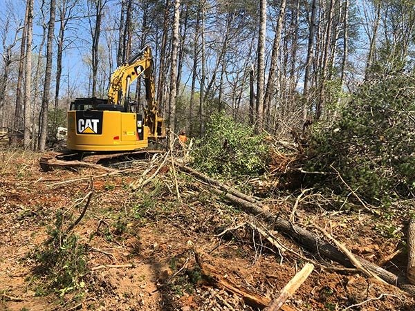 Lot clearing 2020